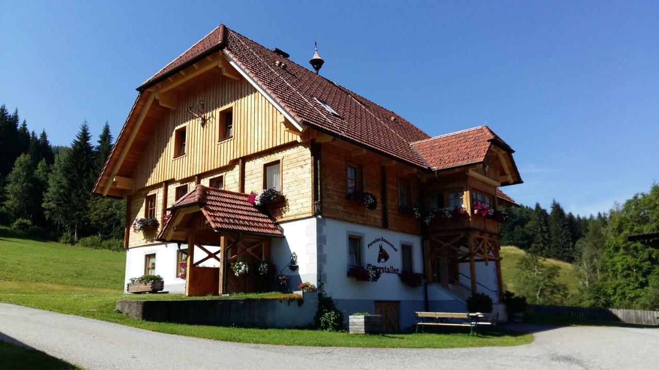 Pension - Bauernhof Sankt Lorenzen ob Murau Extérieur photo